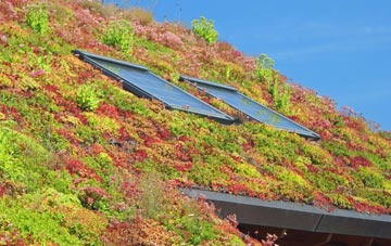 Stony Gate living roof systems