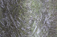 Stony Gate fibreglass roof work